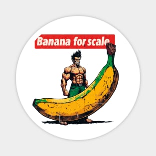 Banana For Scale Magnet